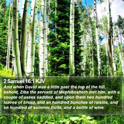 2 Samuel 16:1 KJV Bible Verse Image