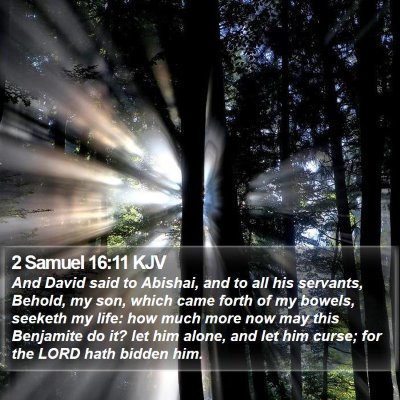 2 Samuel 16:11 KJV Bible Verse Image