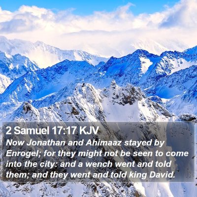 2 Samuel 17:17 KJV Bible Verse Image