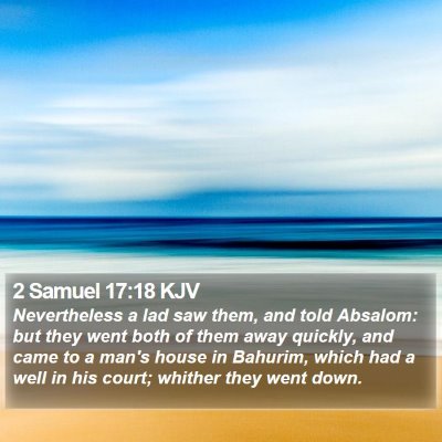 2 Samuel 17:18 KJV Bible Verse Image