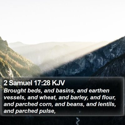 2 Samuel 17:28 KJV Bible Verse Image