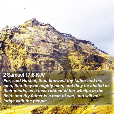 2 Samuel 17:8 KJV Bible Verse Image