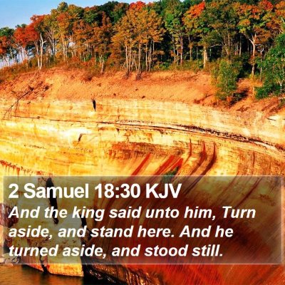 2 Samuel 18:30 KJV Bible Verse Image