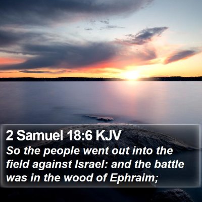 2 Samuel 18:6 KJV Bible Verse Image