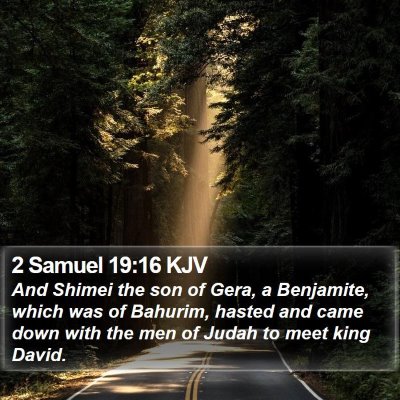 2 Samuel 19:16 KJV Bible Verse Image