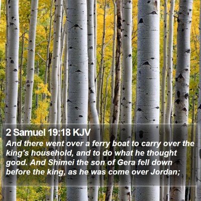 2 Samuel 19:18 KJV Bible Verse Image