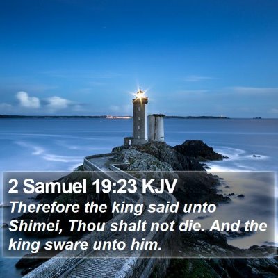 2 Samuel 19:23 KJV Bible Verse Image