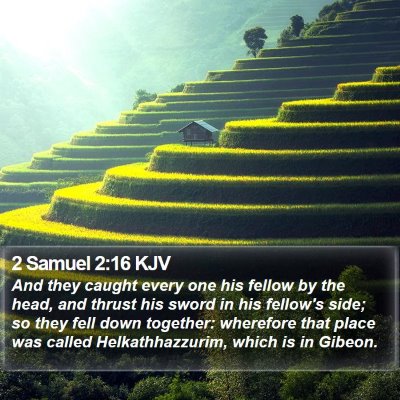2 Samuel 2:16 KJV Bible Verse Image