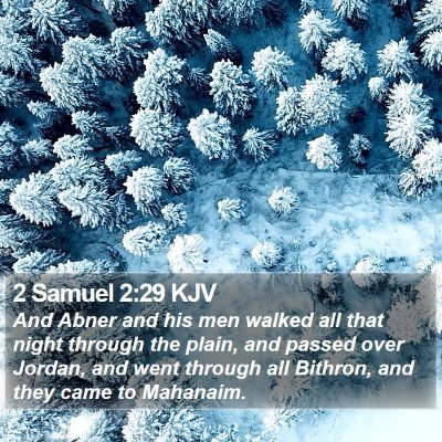 2 Samuel 2:29 KJV Bible Verse Image