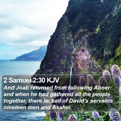 2 Samuel 2:30 KJV Bible Verse Image