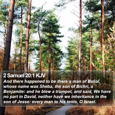 2 Samuel 20:1 KJV Bible Verse Image