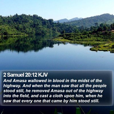 2 Samuel 20:12 KJV Bible Verse Image