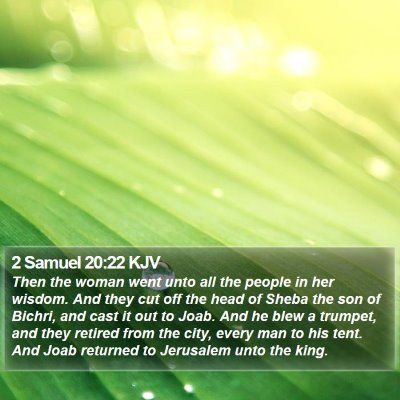 2 Samuel 20:22 KJV Bible Verse Image