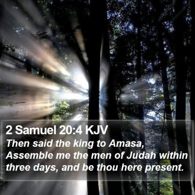 2 Samuel 20:4 KJV Bible Verse Image