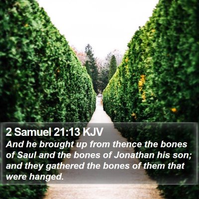 2 Samuel 21:13 KJV Bible Verse Image