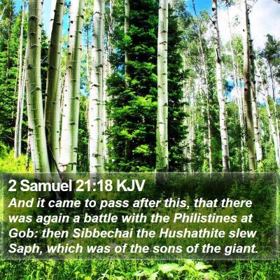 2 Samuel 21:18 KJV Bible Verse Image