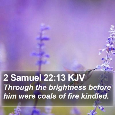 2 Samuel 22:13 KJV Bible Verse Image