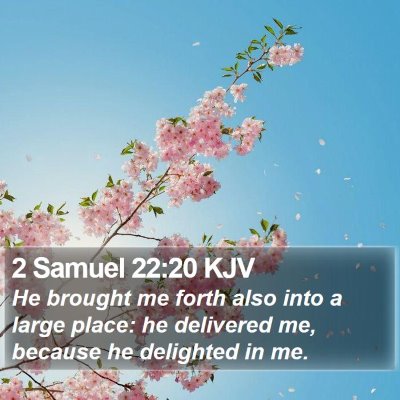 2 Samuel 22:20 KJV Bible Verse Image