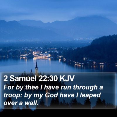 2 Samuel 22:30 KJV Bible Verse Image