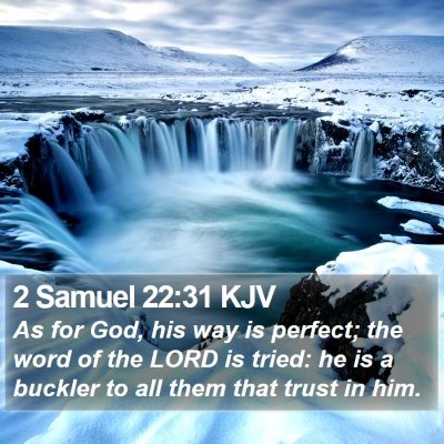 2 Samuel 22:31 KJV Bible Verse Image