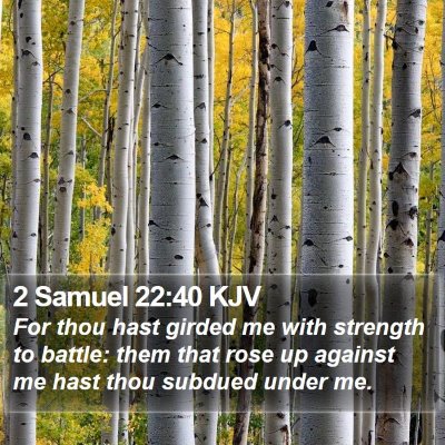2 Samuel 22:40 KJV Bible Verse Image