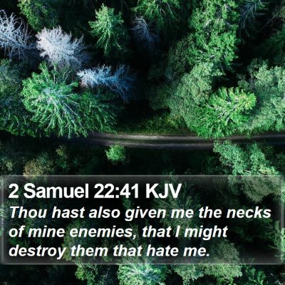 2 Samuel 22:41 KJV Bible Verse Image