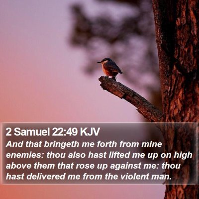 2 Samuel 22:49 KJV Bible Verse Image