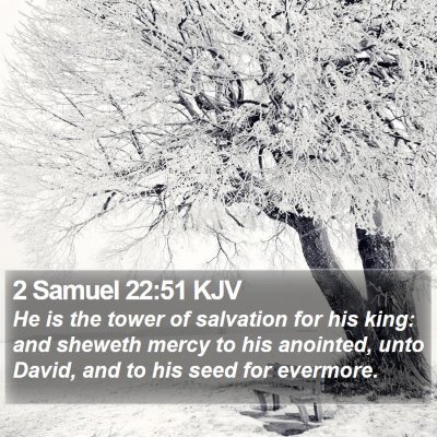 2 Samuel 22:51 KJV Bible Verse Image