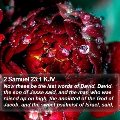 2 Samuel 23:1 KJV Bible Verse Image