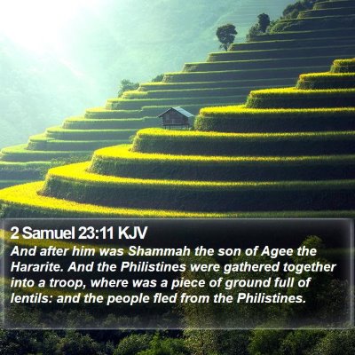 2 Samuel 23:11 KJV Bible Verse Image