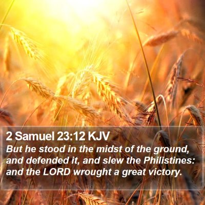 2 Samuel 23:12 KJV Bible Verse Image