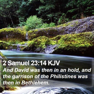2 Samuel 23:14 KJV Bible Verse Image