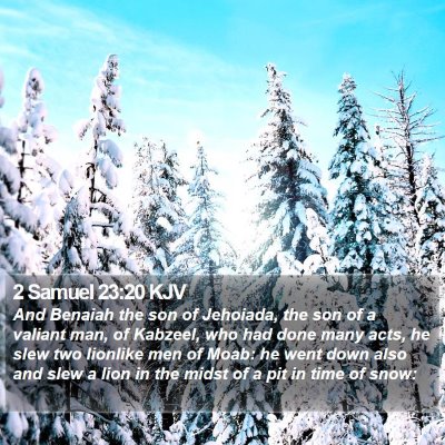 2 Samuel 23:20 KJV Bible Verse Image