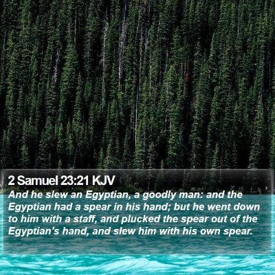 2 Samuel 23:21 KJV Bible Verse Image
