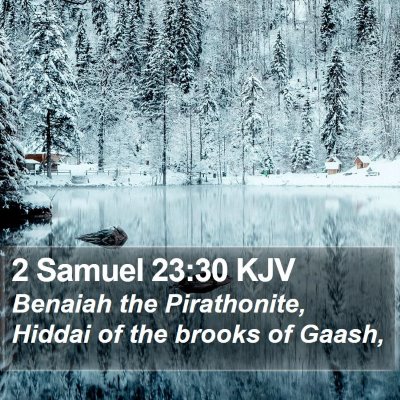 2 Samuel 23:30 KJV Bible Verse Image