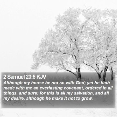 2 Samuel 23:5 KJV Bible Verse Image