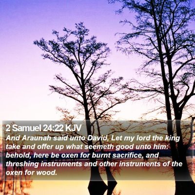 2 Samuel 24:22 KJV Bible Verse Image