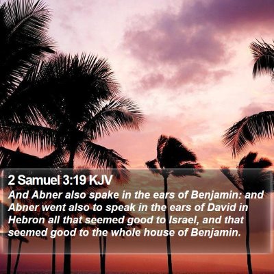 2 Samuel 3:19 KJV Bible Verse Image
