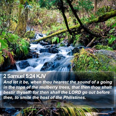 2 Samuel 5:24 KJV Bible Verse Image