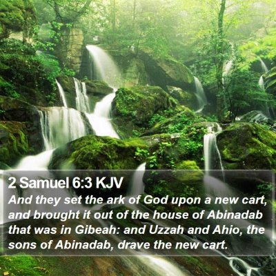 2 Samuel 6:3 KJV Bible Verse Image