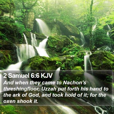 2 Samuel 6:6 KJV Bible Verse Image