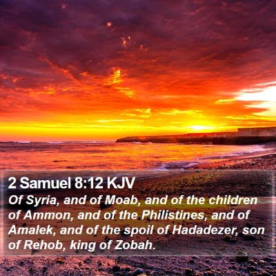 2 Samuel 8:12 KJV Bible Verse Image