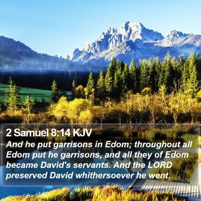 2 Samuel 8:14 KJV Bible Verse Image