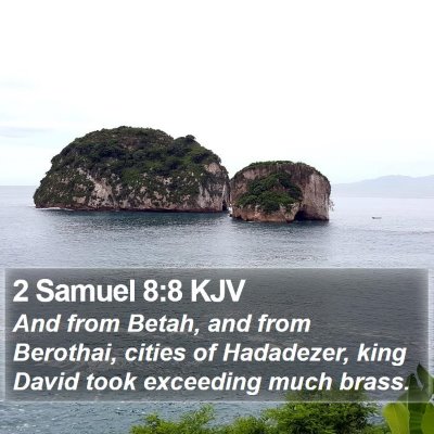 2 Samuel 8:8 KJV Bible Verse Image