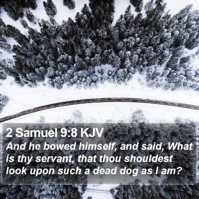2 Samuel 9:8 KJV Bible Verse Image