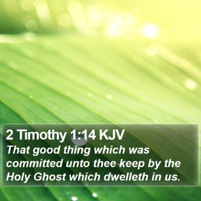 2 Timothy 1:14 KJV Bible Verse Image