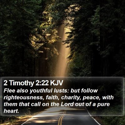 2 Timothy 2:22 KJV Bible Verse Image