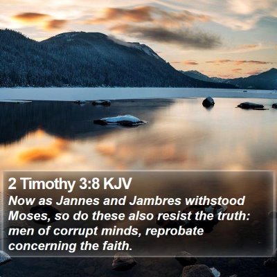 2 Timothy 3:8 KJV Bible Verse Image