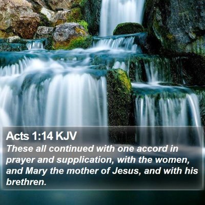 Acts 1:14 KJV Bible Verse Image