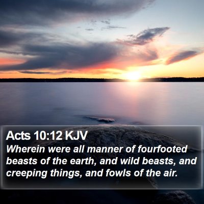 Acts 10:12 KJV Bible Verse Image